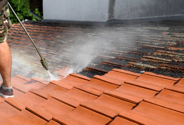 Best Concrete Pressure Washing  in Wahoo, NE