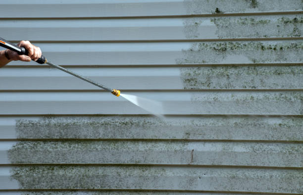Best Sidewalk Pressure Washing  in Wahoo, NE